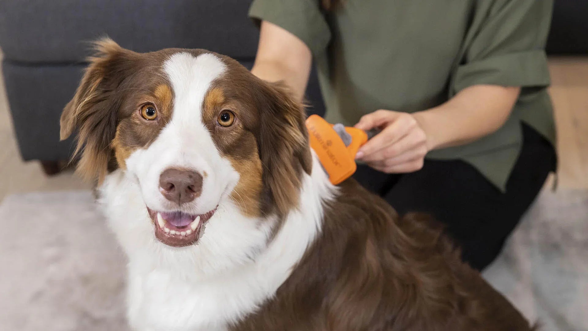 Furminator til langhåret hund: Underull, floker og tover – skånsomt opplegg