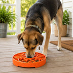 SodaPup Sun and Moon eTray – Grunn Slow Feeder med Balansert Design, Grønn