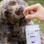 BuddyCare - Calming Chews