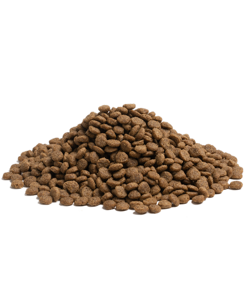 Nærbilde av små tørrfôr-pellets fra Essential Balance
