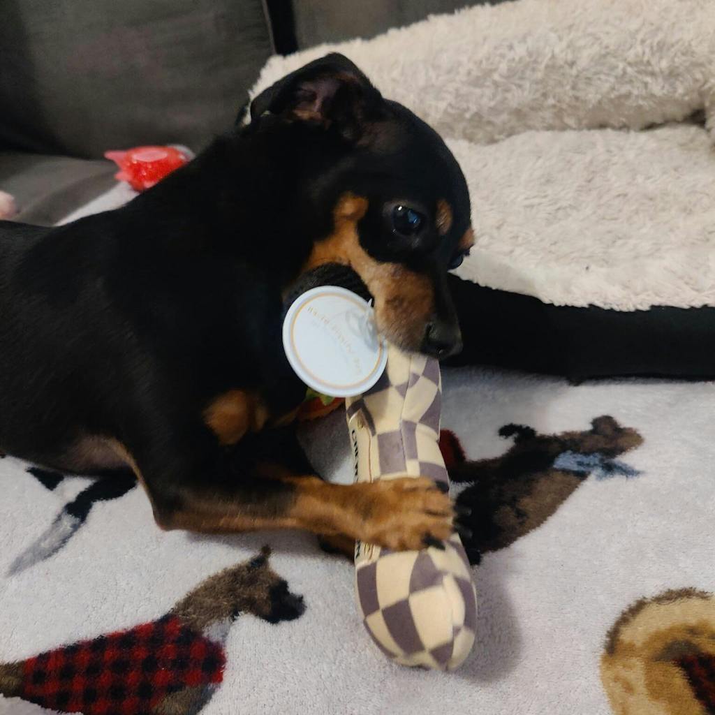 Tan Checker Chewy Vuiton Bone Toy