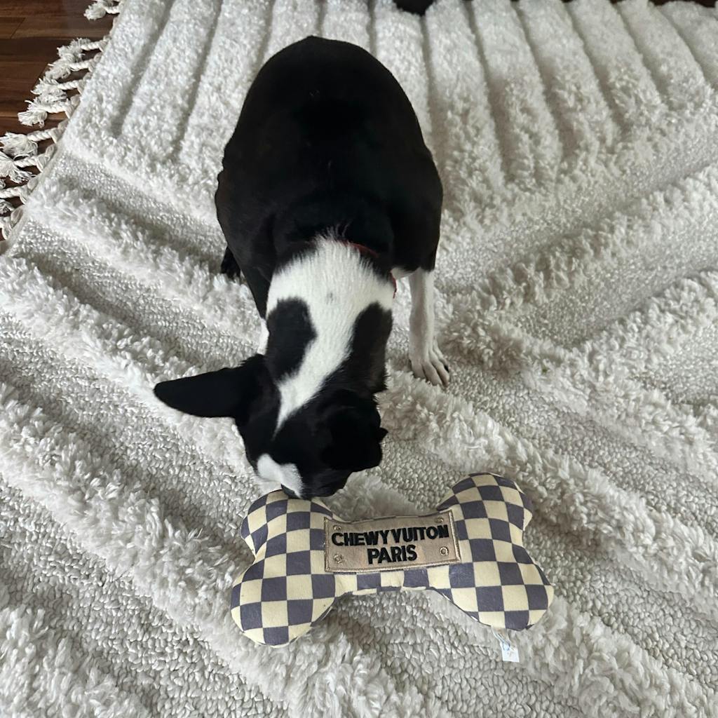 Tan Checker Chewy Vuiton Bone Toy
