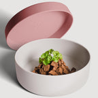 Ne&no® Silicone Feeding Bowl with Lid for Dogs & Cats– MIX