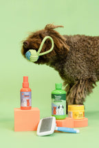 Dog Shampoo Spray Balm Comb & Toy Set - Tresky&Friends