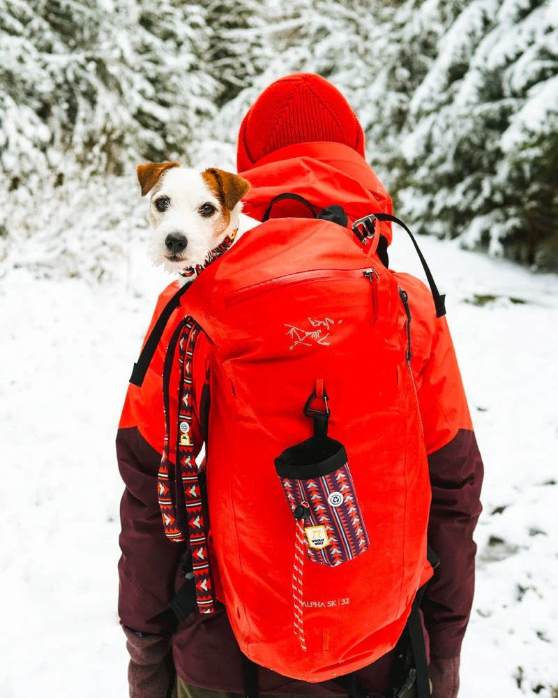Woolly Wolf Polar Night hundebånd i bruk på tur