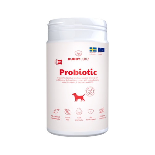 BuddyCare - Probiotic