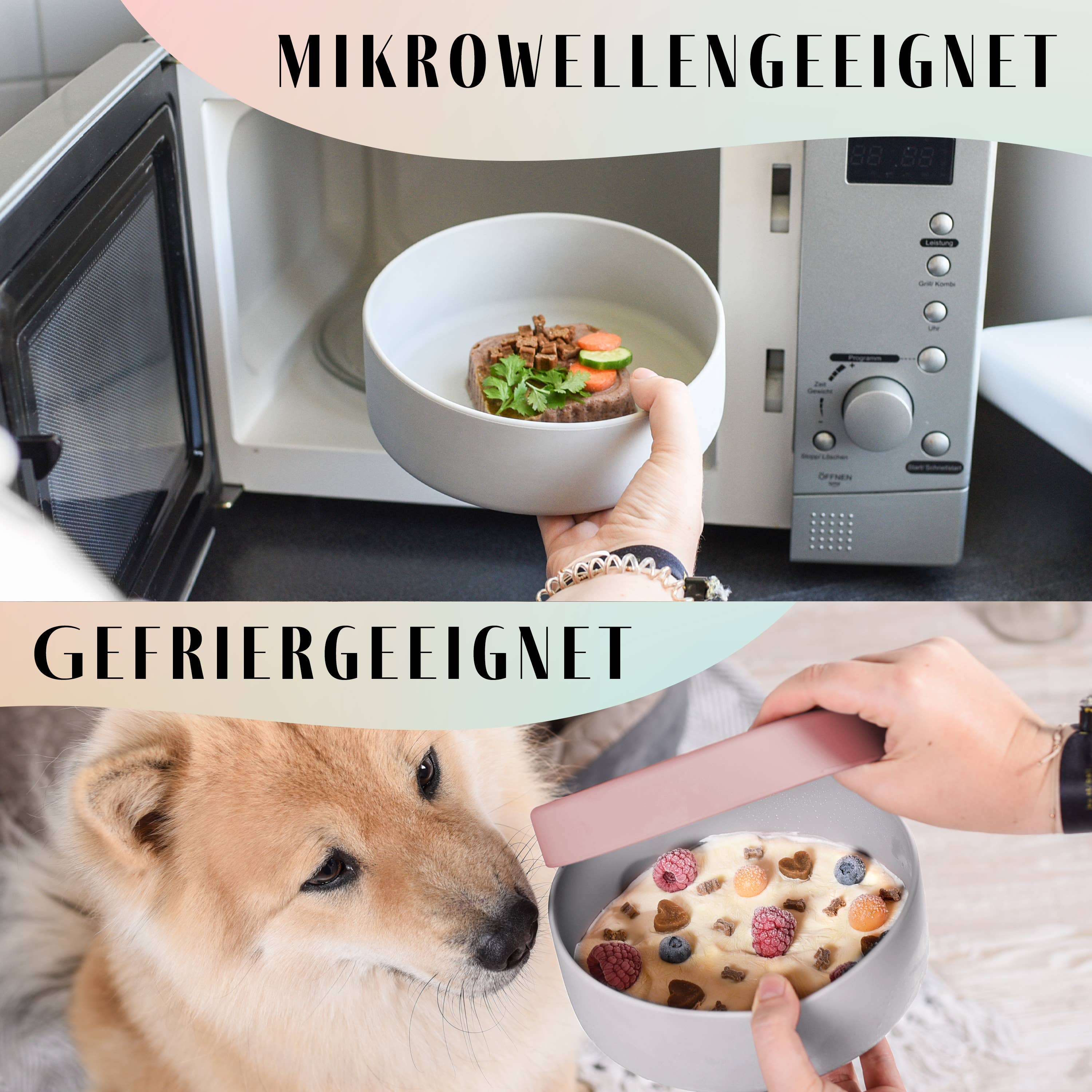 Ne&no® Silicone Feeding Bowl with Lid for Dogs & Cats– MIX