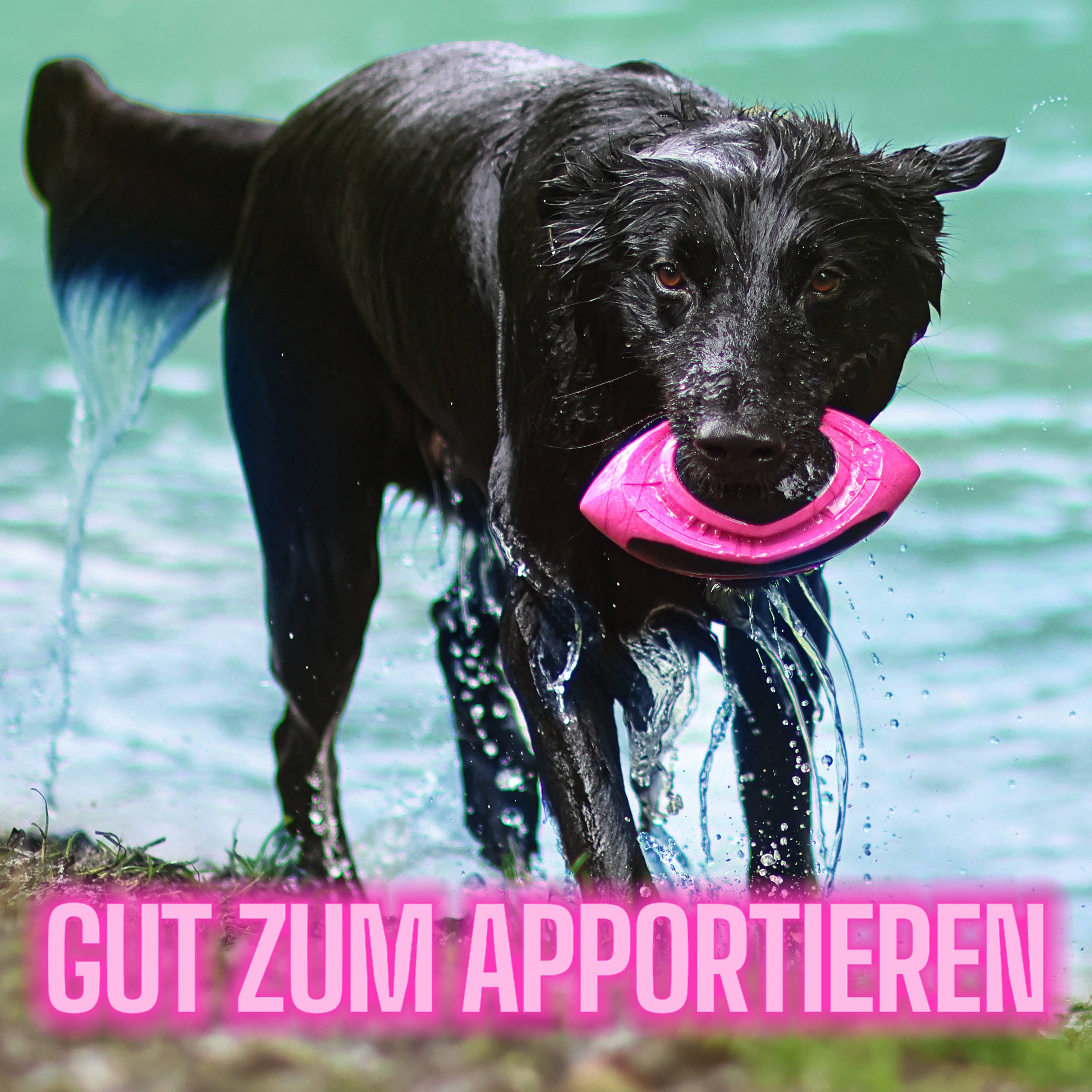 Flytende hundeball