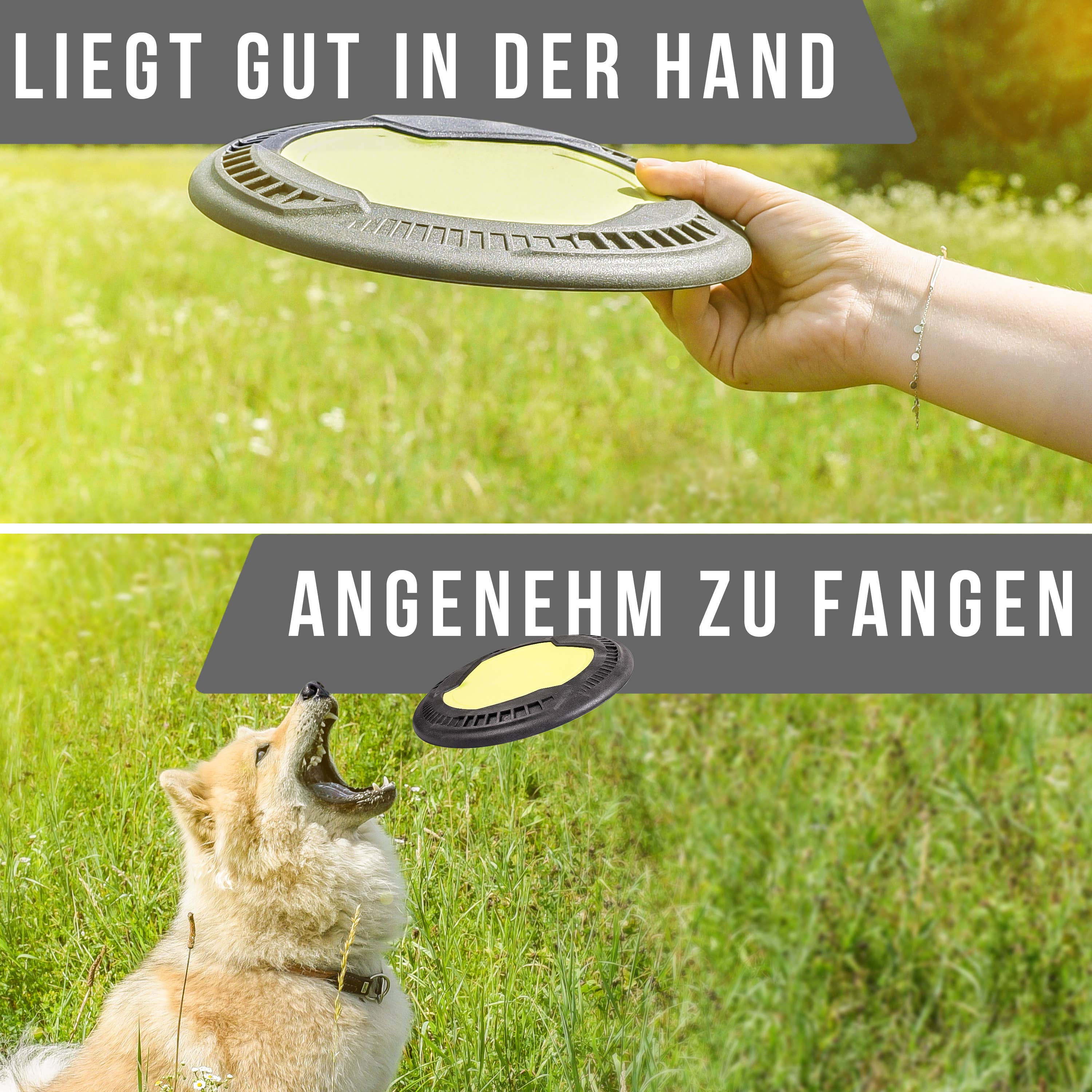 Flytende hundefrisbee