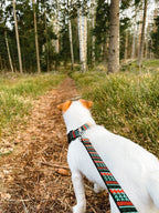 Woolly Wolf Woodland hundebånd – nærbilde av vevd materiale