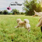 Flytende hundeball