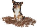 FURminator – Underullsbørste Hund – Langhåret – XS