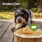 Beef ear, light