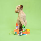 Dog Shampoo Spray Balm Comb & Toy Set - Tresky&Friends