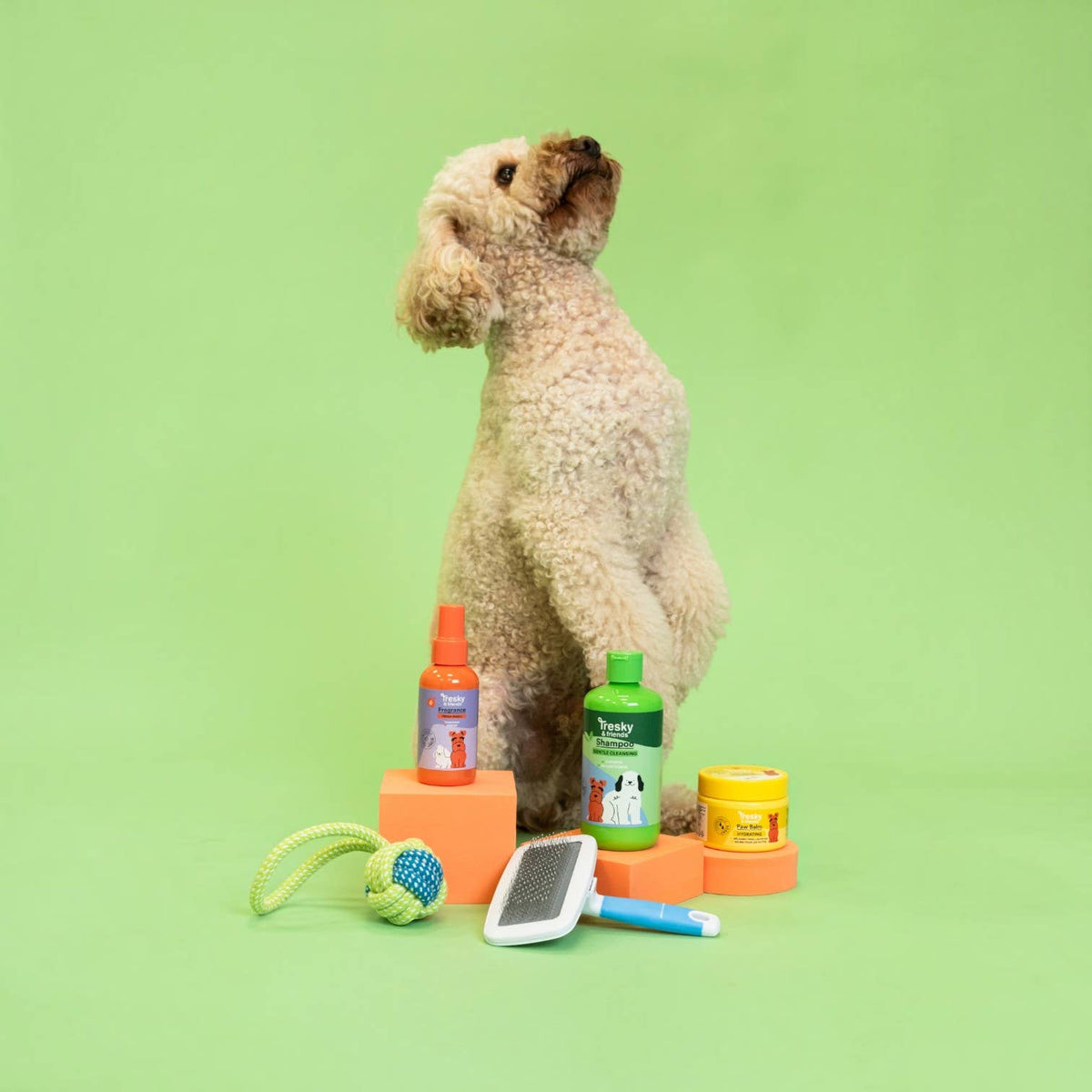Dog Shampoo Spray Balm Comb & Toy Set - Tresky&Friends