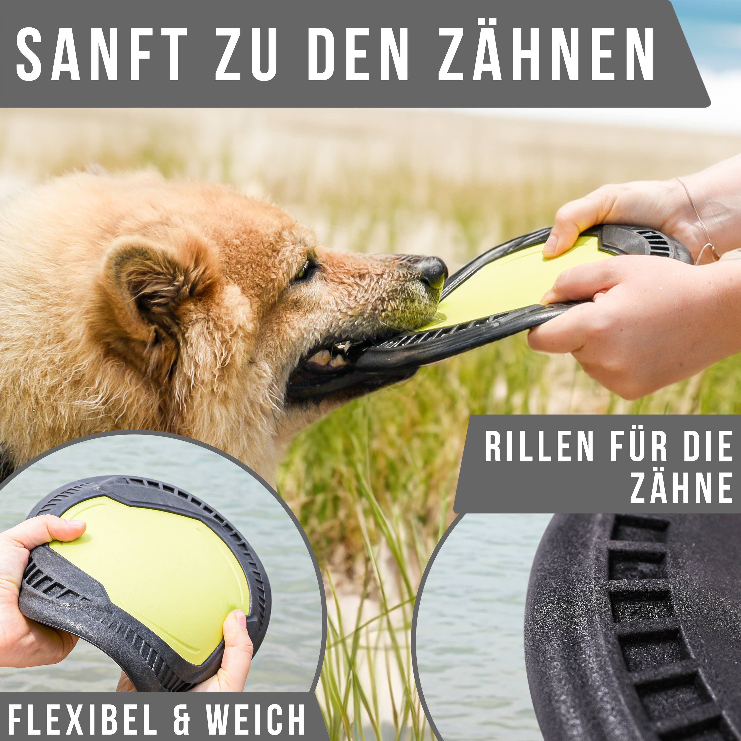 Flytende hundefrisbee