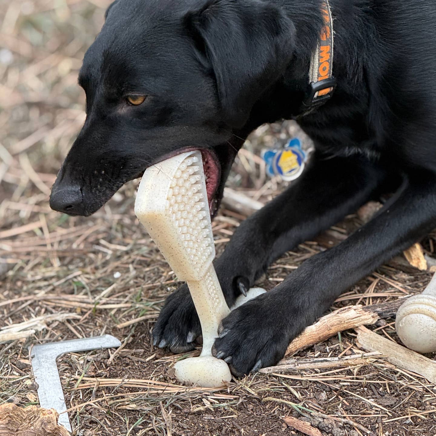 SodaPup Waffle Tower Lick, Chew and Enrichment Toy