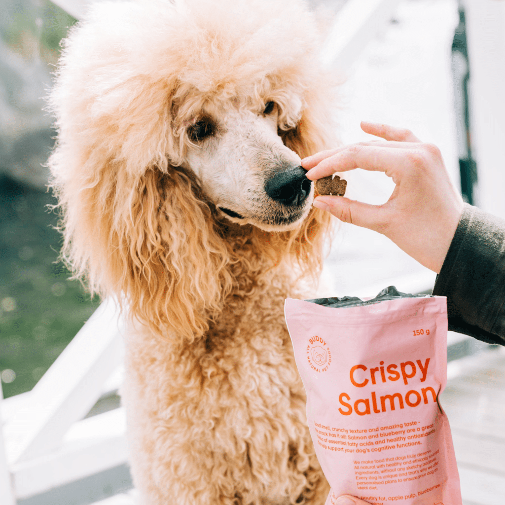 Crispy Salmon 150g