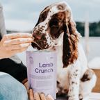 Lamb Crunch 150g