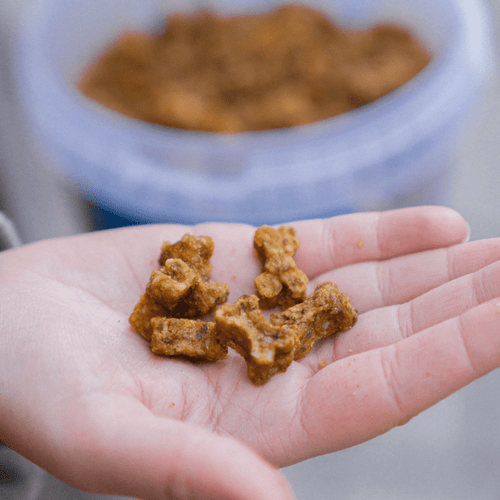 Training Treats - Beef 100g