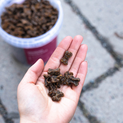 Training Treats - Venison 100g
