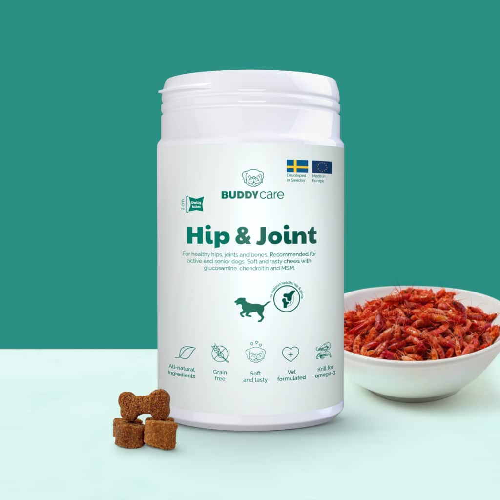 Buddycare - Hip & Joint