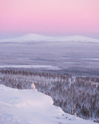 Woolly Wolf Polar Night hundebånd med rustfrie ståldeler