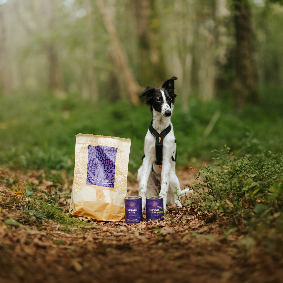 Essential Estate Living Paté – Lam & Kalkun Våtfôr til Hund 400 g