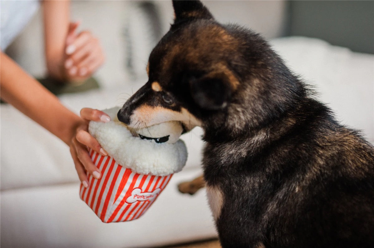 P.L.A.Y. Hollywoof Poppin’ Pupcorn 3-i-1 hundeleke i bruk