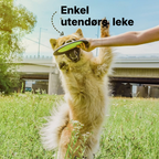 Flytende hundefrisbee