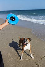 Hundefrisbee i myk gummi │ Blues Vinyl