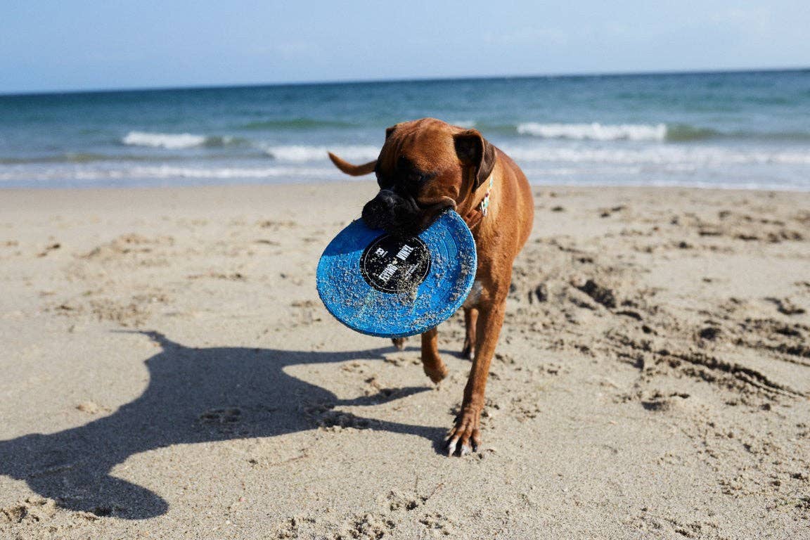 Hundefrisbee i myk gummi │ Blues Vinyl