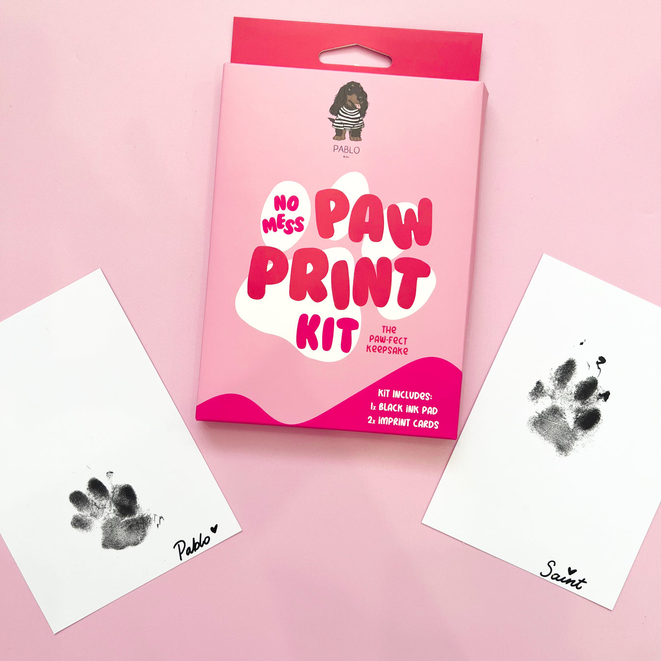 No Mess Dog Paw Print Kit By Pablo & Co.