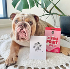 No Mess Dog Paw Print Kit By Pablo & Co.