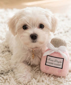 Miss Dogior │ Parfymeflaske Plysjleke med Pipe