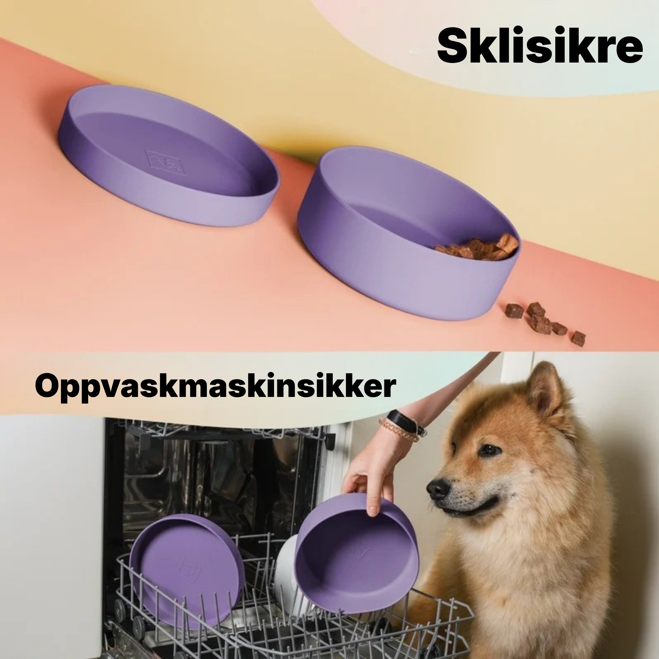 Ne&no® 3-i-1 Silikonskål med Lokk │ Til Hund & Katt