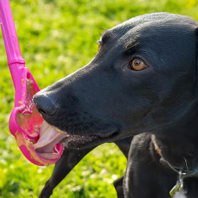 Lick Stick Hand-Held Interactive Enrichment Toys - Rød