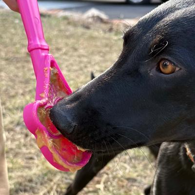 Lick Stick Hand-Held Interactive Enrichment Toys - Rød