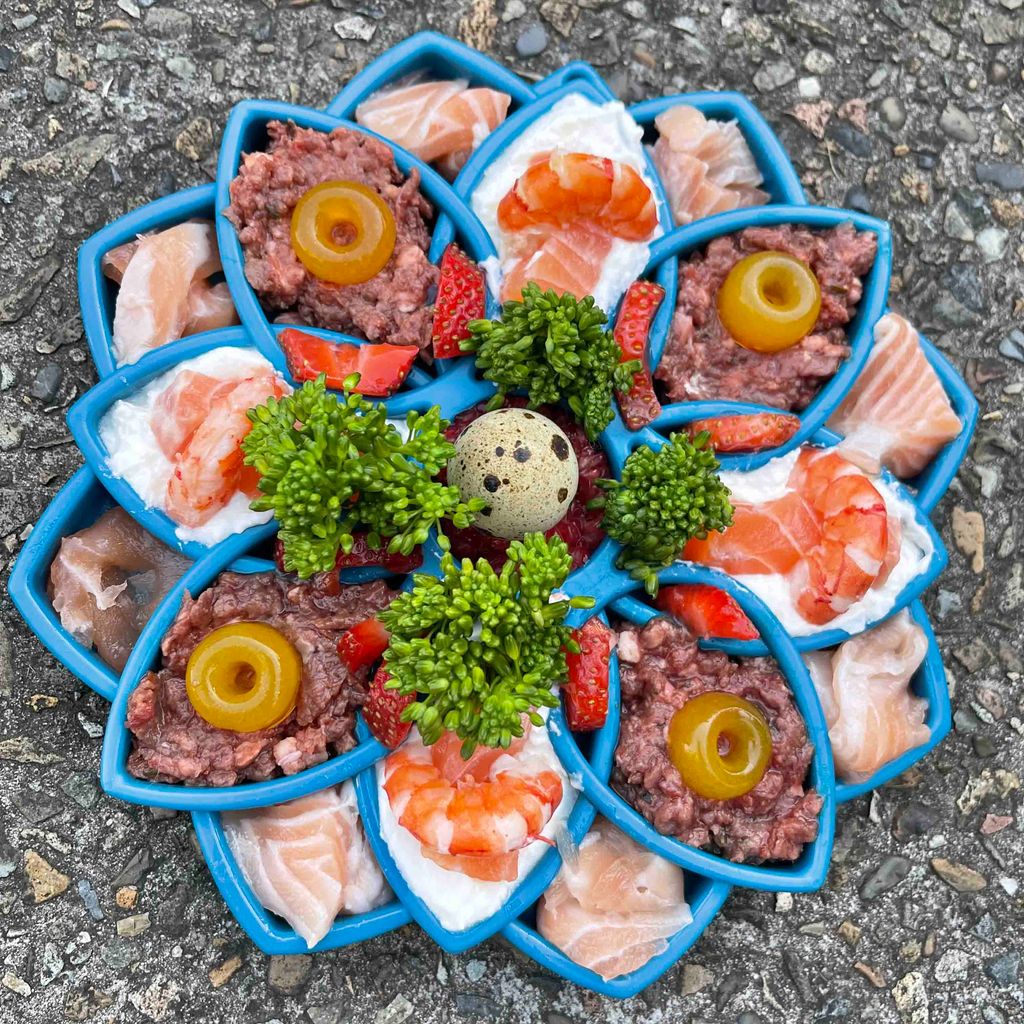 SodaPup Slow Feeder Mandala