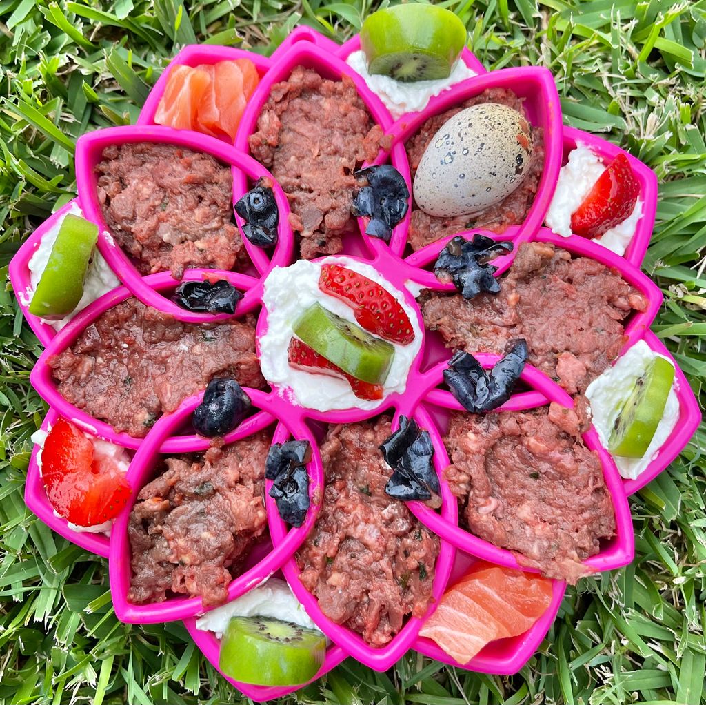 SodaPup Slow Feeder Mandala