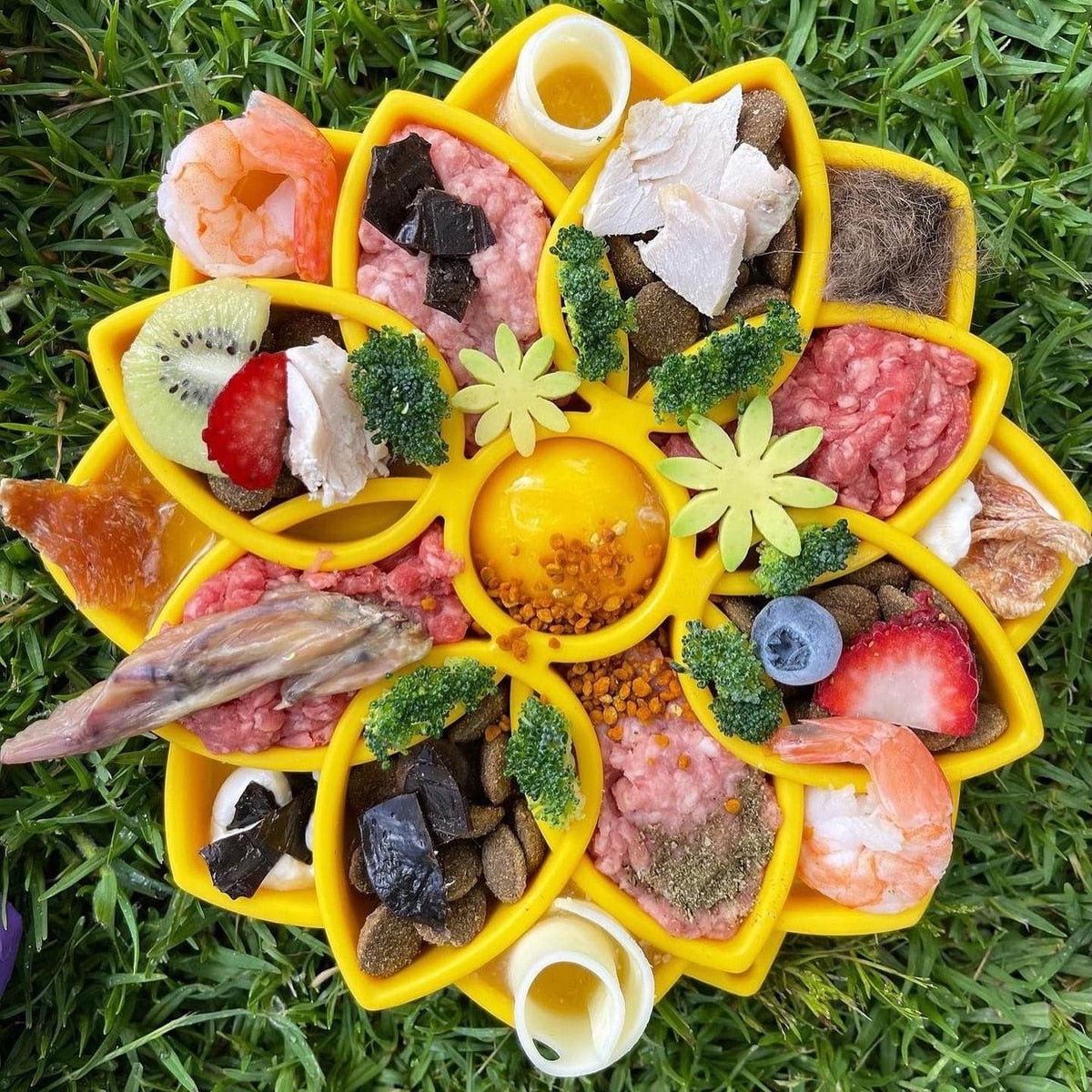 SodaPup Slow Feeder Mandala