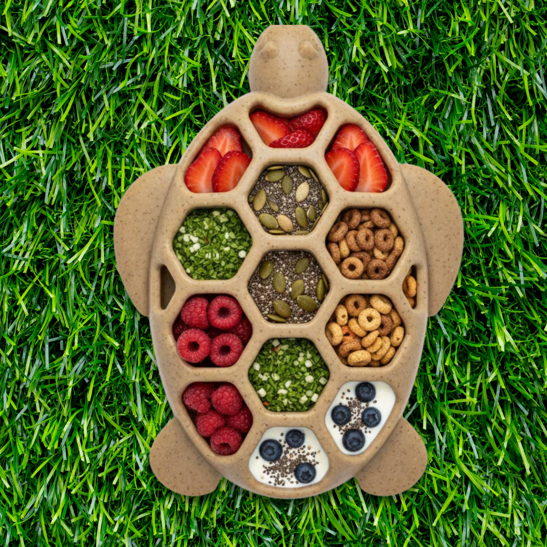 Sodapup Turtle Durable Nylon Chew and Enrichment Toy