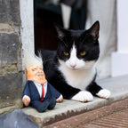 Donald Trump Hundeleke