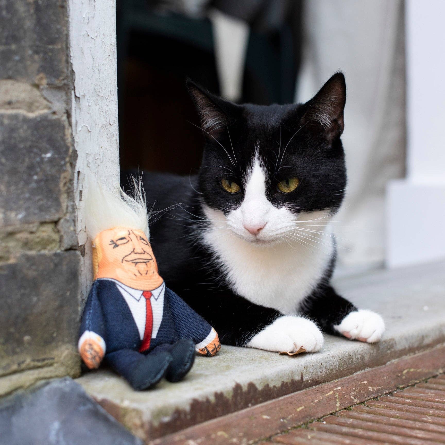 Donald Trump Hundeleke