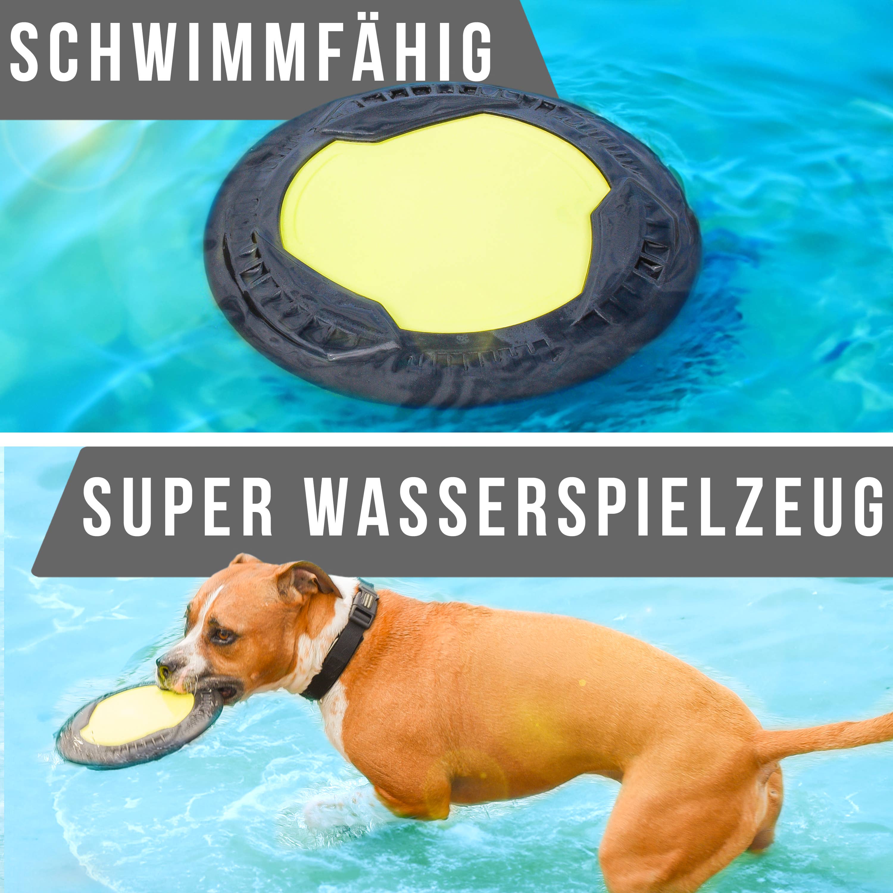 Flytende hundefrisbee