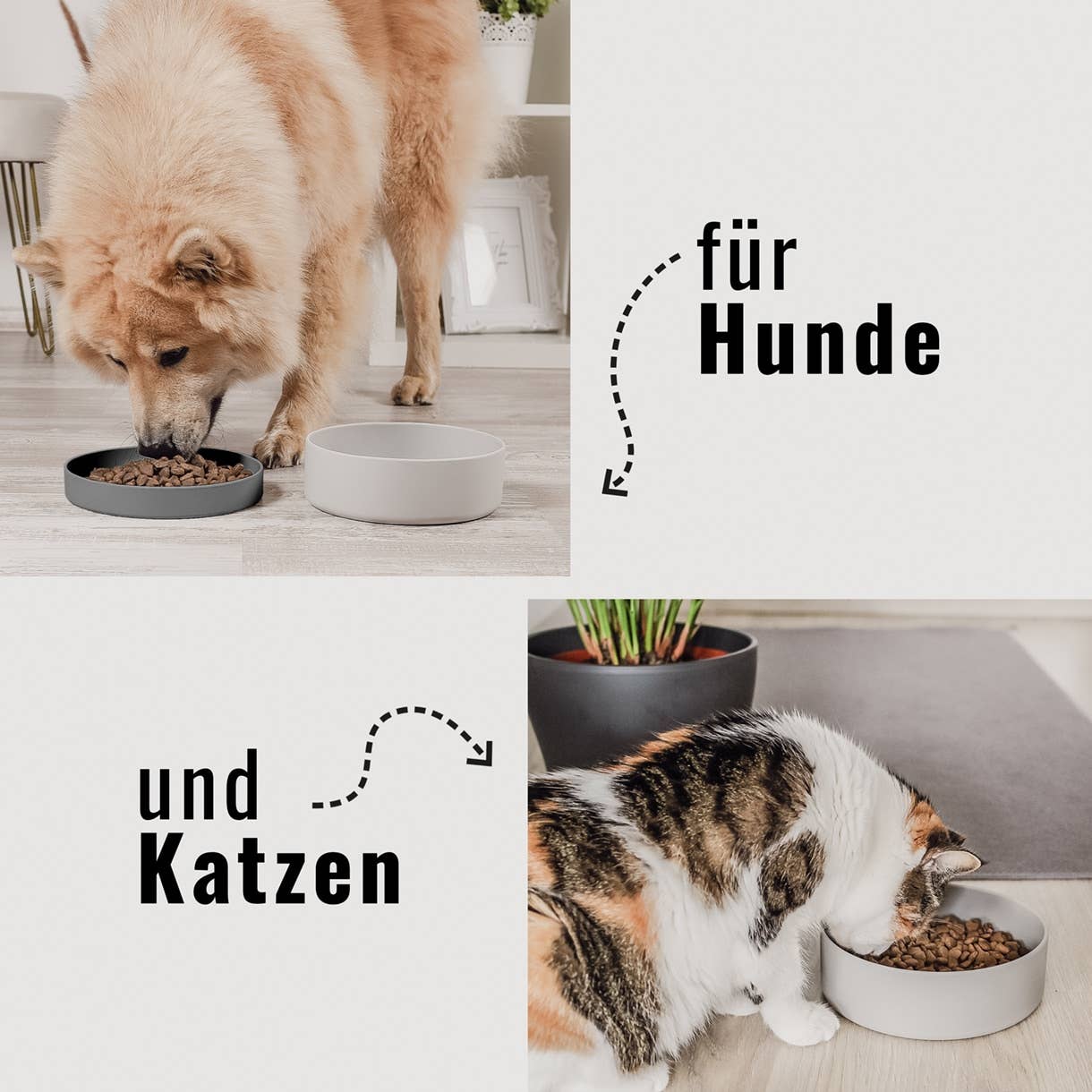 Ne&no® Silicone Feeding Bowl with Lid for Dogs & Cats– MIX