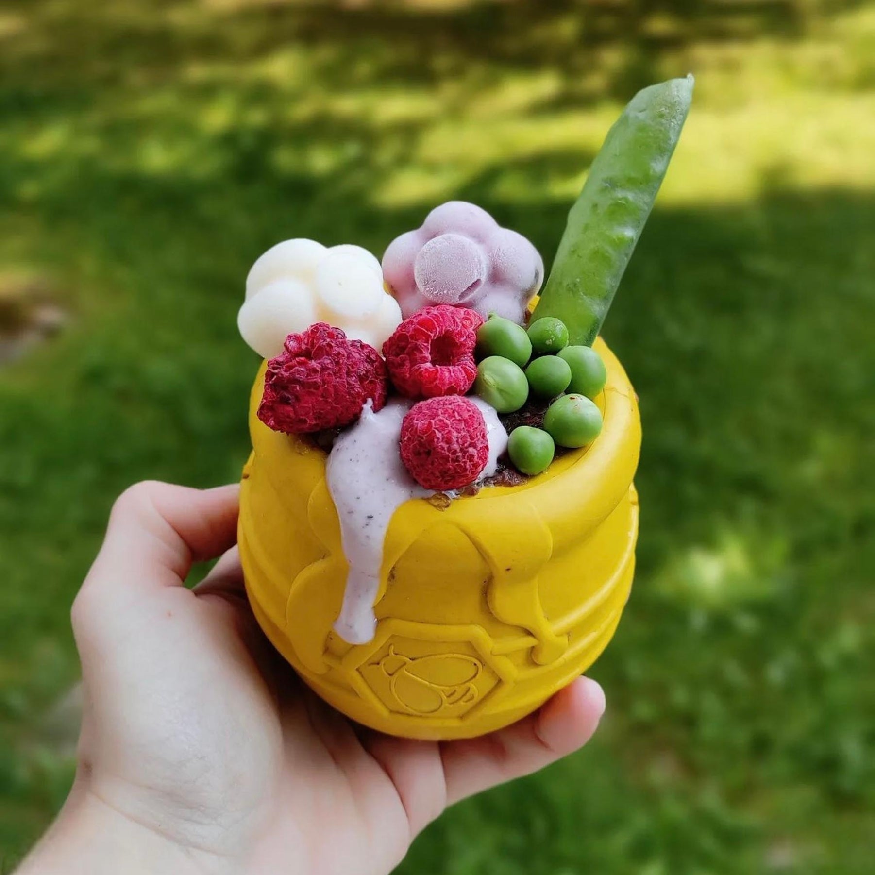 SodaPup Honey Pot, Stor