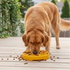 SodaPup Sunflower Softie eTray – Myk, Grunn Slow Feeder for Følsomme Hunder