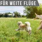 Flytende hundefrisbee