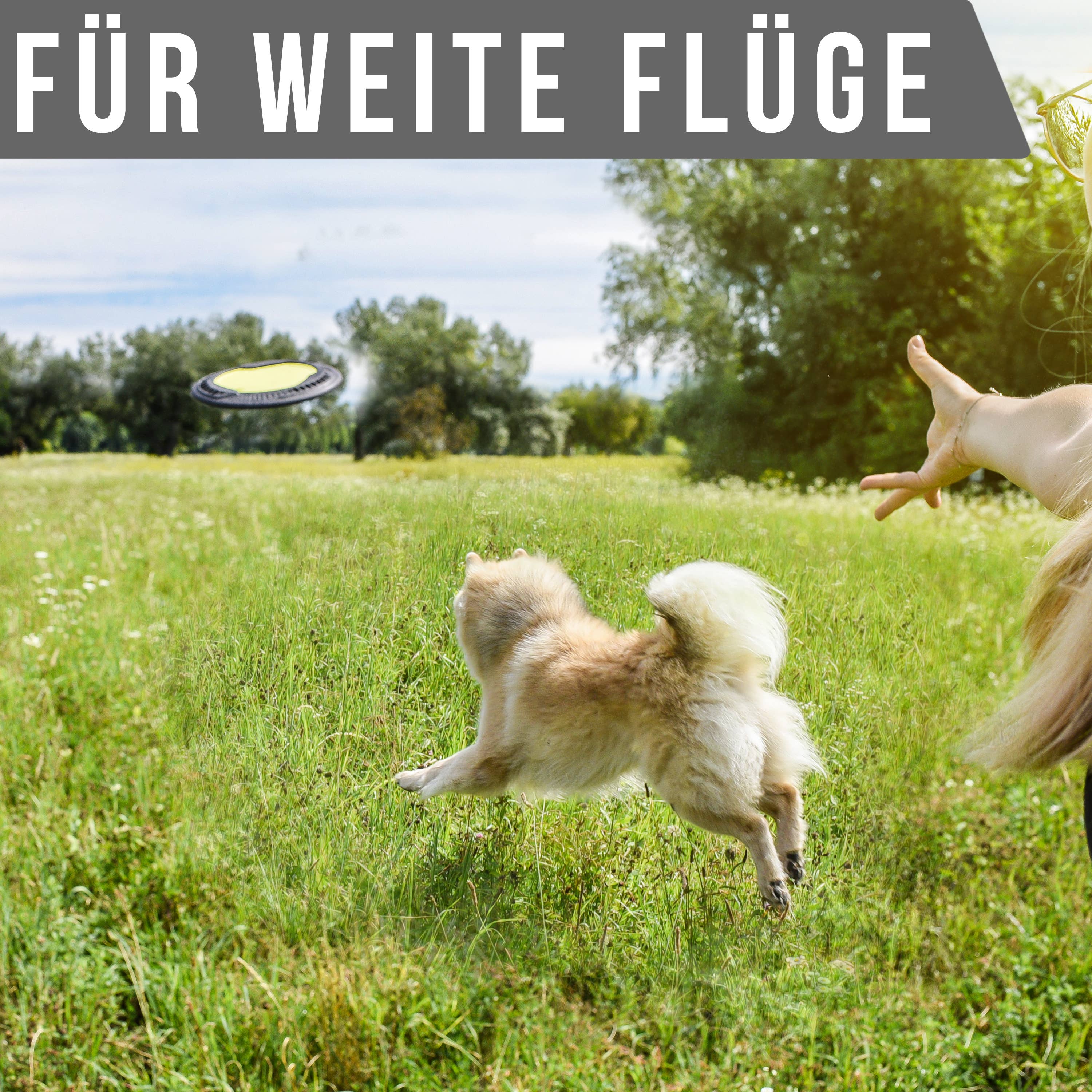 Flytende hundefrisbee